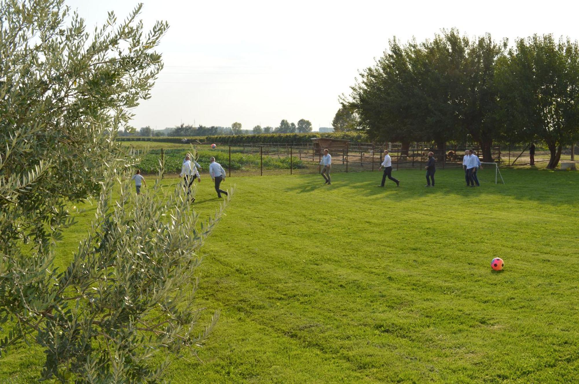 Agriturismo Al Casale Lonigo Eksteriør bilde